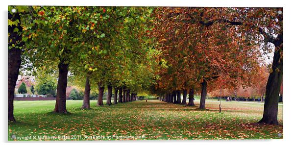 Great Windsor Park. Acrylic by Matthew Bates