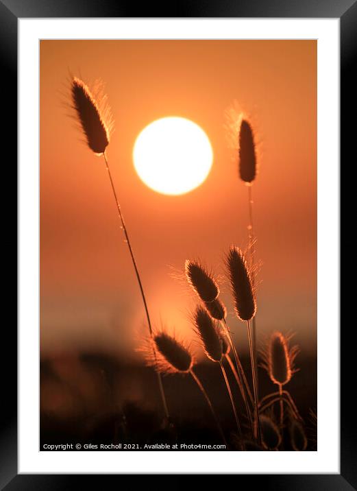 Beautiful sunset Spain Framed Mounted Print by Giles Rocholl