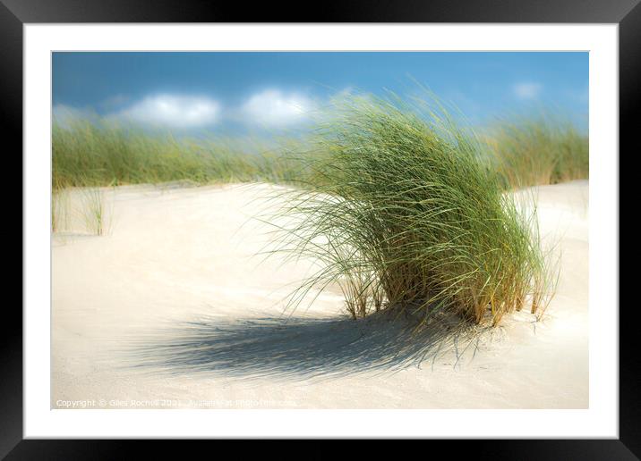 Grassy sand dunes Framed Mounted Print by Giles Rocholl