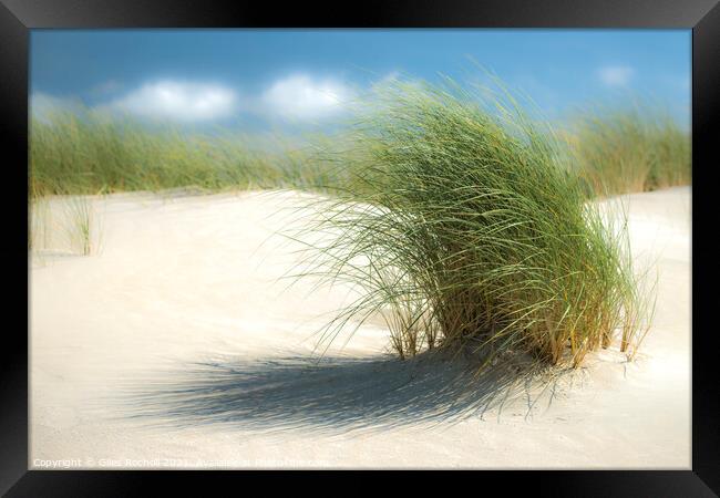 Grassy sand dunes Framed Print by Giles Rocholl