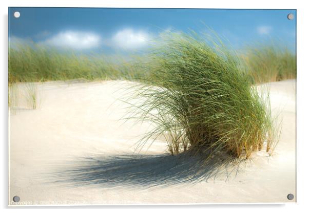 Grassy sand dunes Acrylic by Giles Rocholl