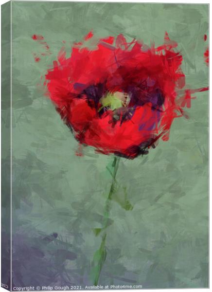 Garden Poppy Blooming Canvas Print by Philip Gough