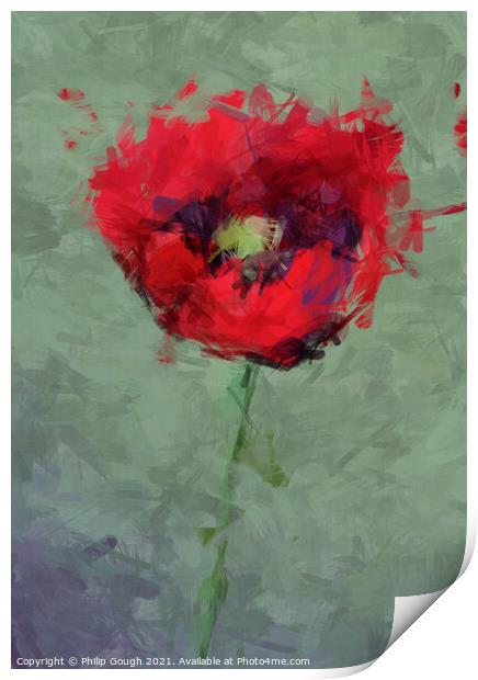 Garden Poppy Blooming Print by Philip Gough