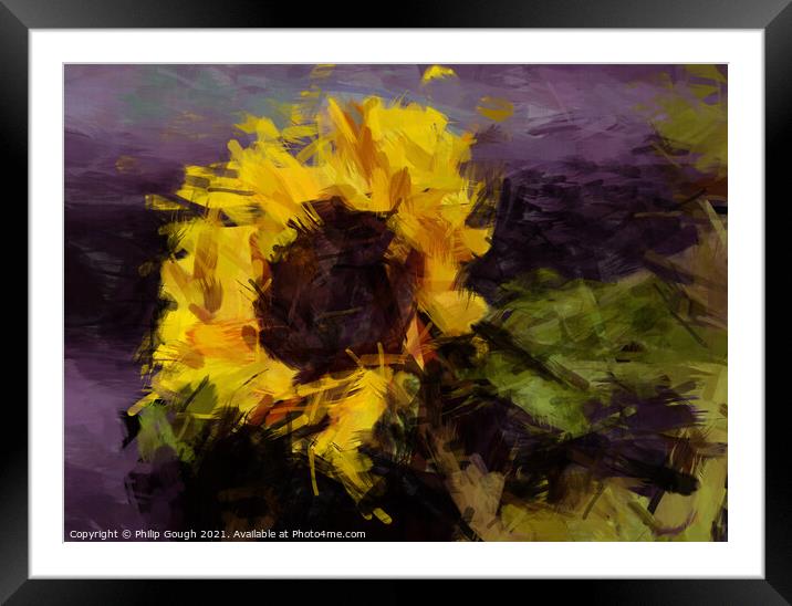 Sunflower Framed Mounted Print by Philip Gough