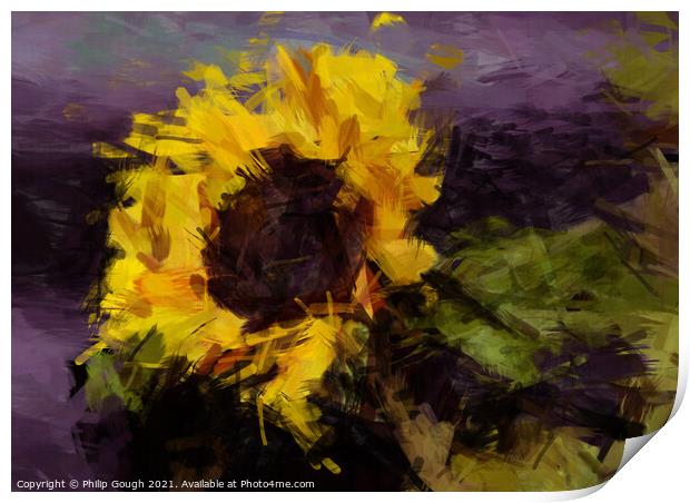 Sunflower Print by Philip Gough