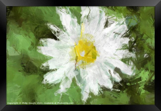Daisy Daisy Framed Print by Philip Gough