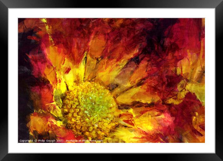 Flaming Flower Framed Mounted Print by Philip Gough