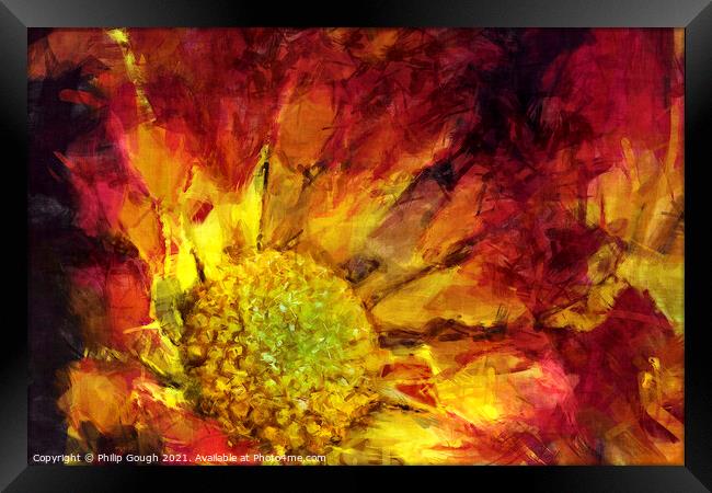 Flaming Flower Framed Print by Philip Gough