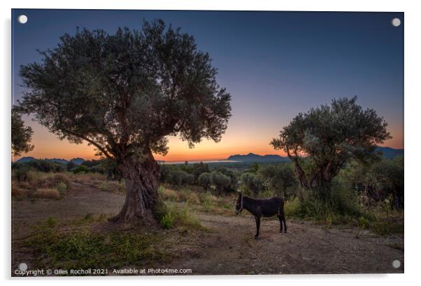 Sunrise Majorca donkey Acrylic by Giles Rocholl