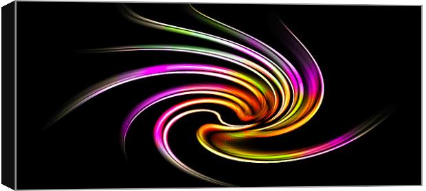 swirly abstract Canvas Print by Northeast Images