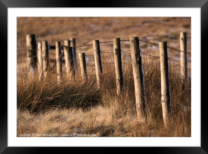 Winter sun abstract fencing Yorkshire Framed Mounted Print by Giles Rocholl
