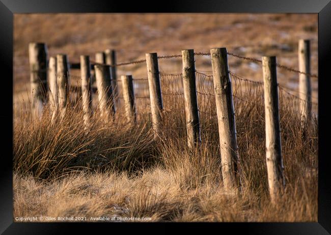 Winter sun abstract fencing Yorkshire Framed Print by Giles Rocholl
