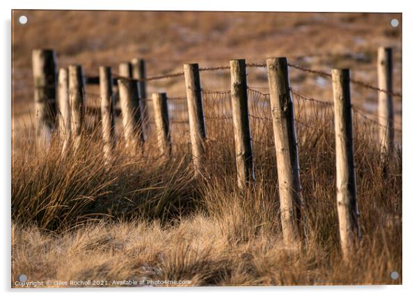 Winter sun abstract fencing Yorkshire Acrylic by Giles Rocholl