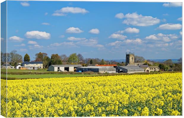 Woolley rapeseed and village Canvas Print by Darren Galpin