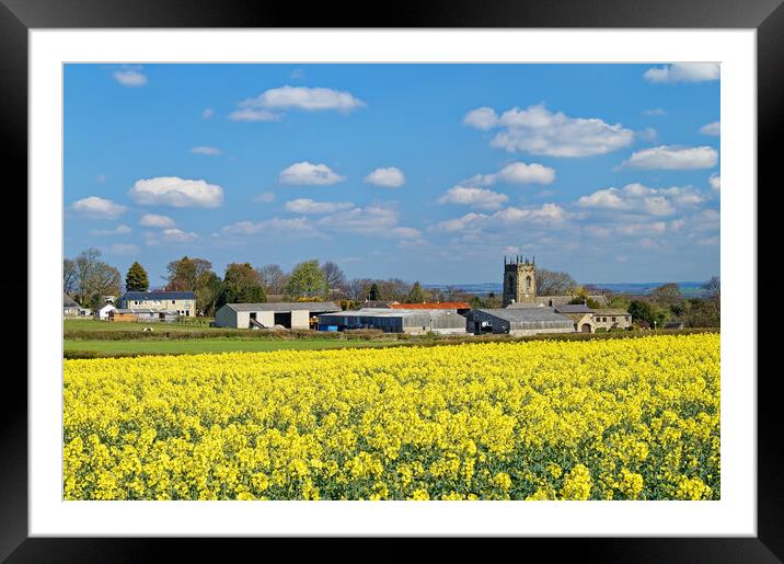 Woolley rapeseed and village Framed Mounted Print by Darren Galpin