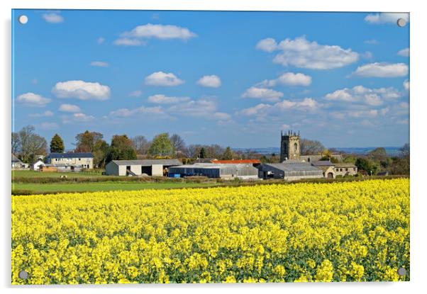 Woolley rapeseed and village Acrylic by Darren Galpin