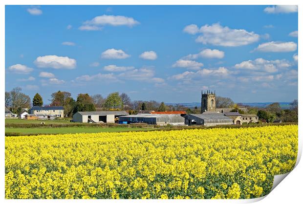 Woolley rapeseed and village Print by Darren Galpin