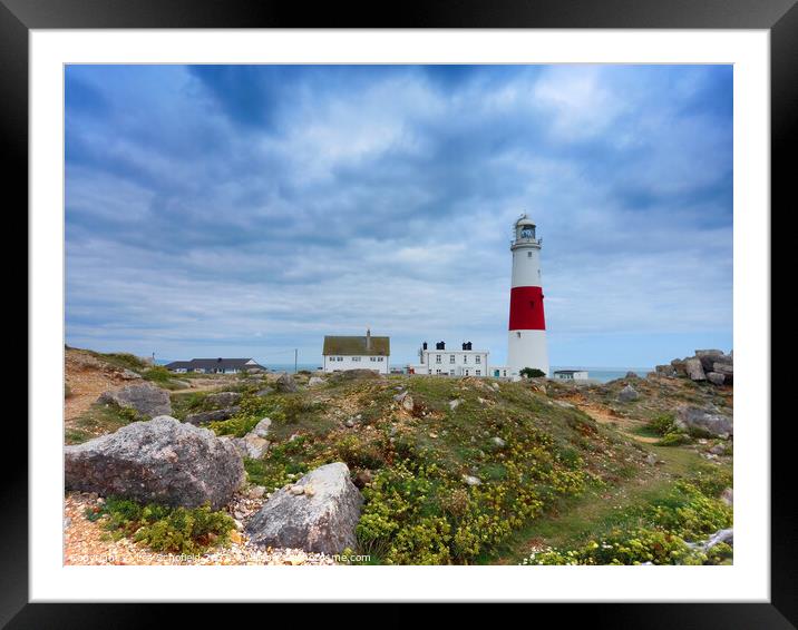 Portland bill Lighthouse Framed Mounted Print by Les Schofield