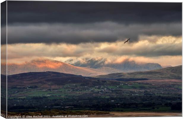 Welsh mountains Snowdonia Canvas Print by Giles Rocholl