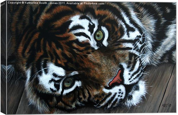 Sumatran Tiger Canvas Print by Katherine Booth - Jones