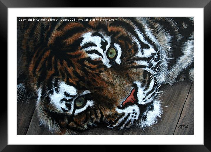 Sumatran Tiger Framed Mounted Print by Katherine Booth - Jones