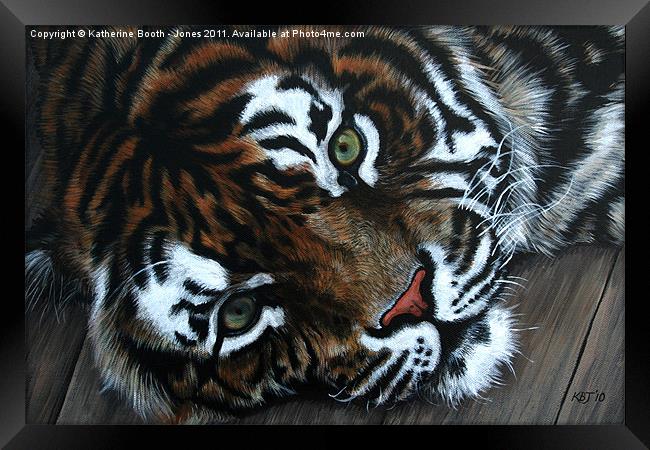 Sumatran Tiger Framed Print by Katherine Booth - Jones