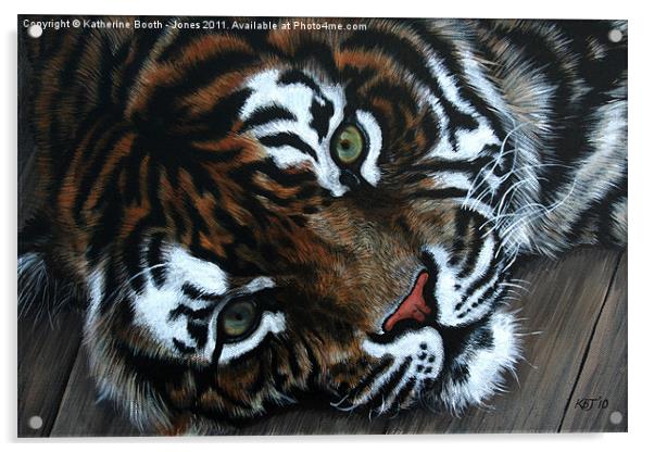 Sumatran Tiger Acrylic by Katherine Booth - Jones