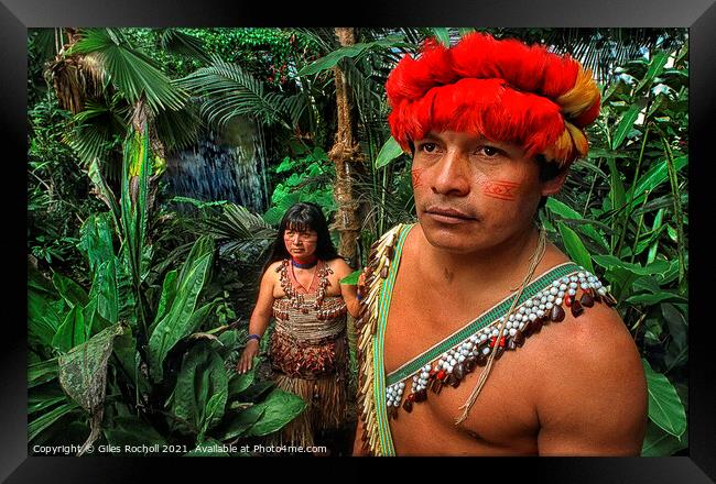 Amazon rain forest chief Framed Print by Giles Rocholl