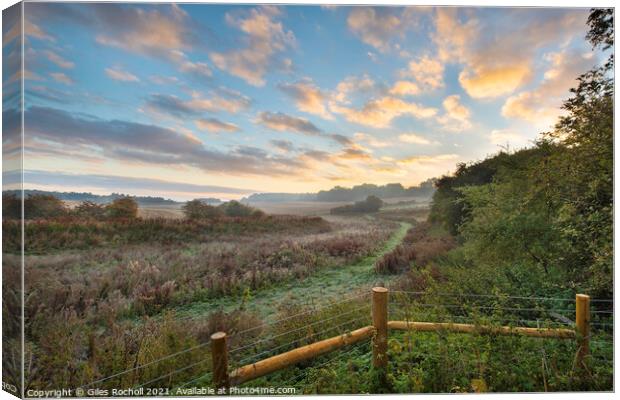 Misty morning Berkshire Canvas Print by Giles Rocholl