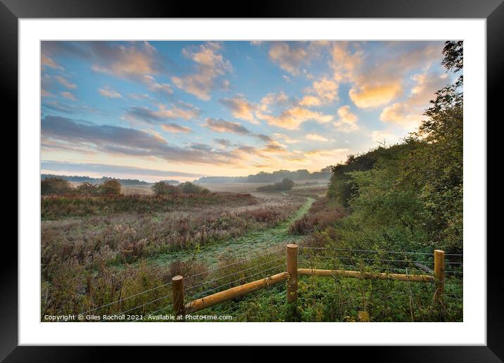 Misty morning Berkshire Framed Mounted Print by Giles Rocholl