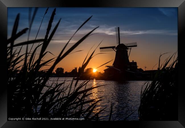 Zaanse Schans windmill Holland Framed Print by Giles Rocholl