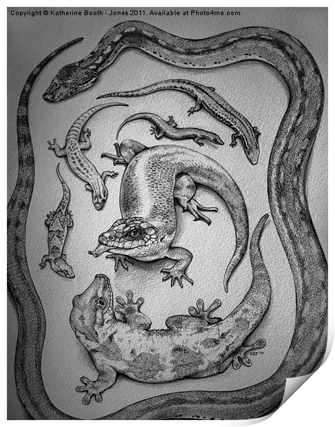 Round Island Reptiles Print by Katherine Booth - Jones