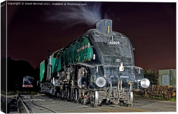 Nocturnal A4 60009 Canvas Print by David Birchall
