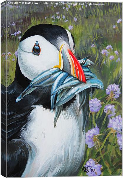 Puffin Canvas Print by Katherine Booth - Jones