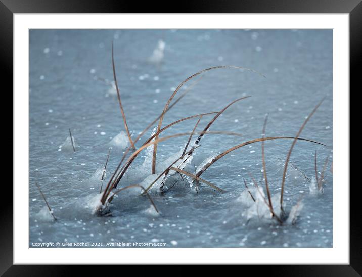 Frozen lake and grass Framed Mounted Print by Giles Rocholl