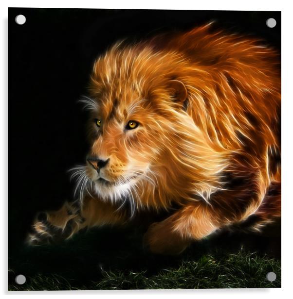 Raw Lion Power Fractal Acrylic by Julie Hoddinott