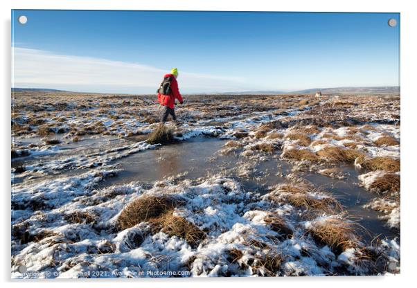 Yorkshire moors winter walking Acrylic by Giles Rocholl