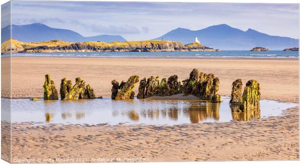 Wreck of the Athena Anglesey Canvas Print by Andy McGarry