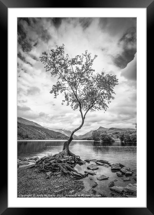 The Lone Tree in Black And White Framed Mounted Print by Andy McGarry