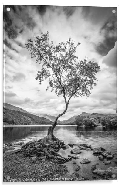The Lone Tree in Black And White Acrylic by Andy McGarry