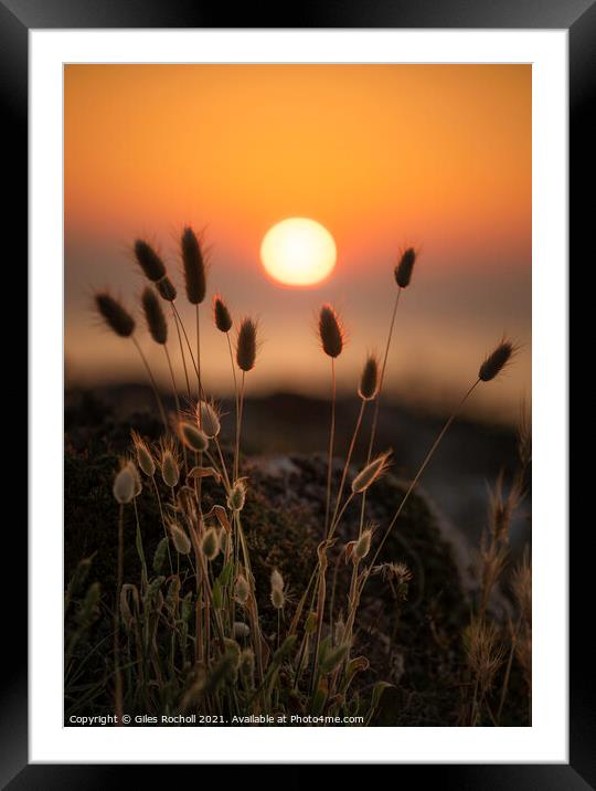 Silhouette grass sunset Menorca Framed Mounted Print by Giles Rocholl