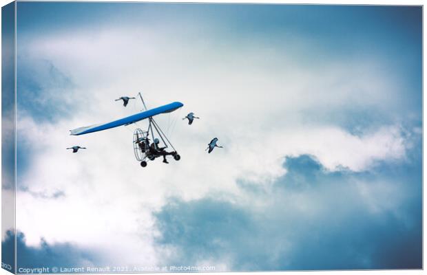 Microlight flying among the cranes Canvas Print by Laurent Renault