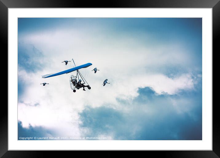 Microlight flying among the cranes Framed Mounted Print by Laurent Renault