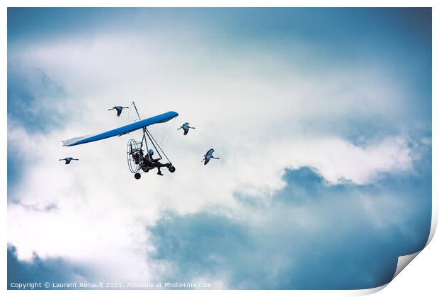 Microlight flying among the cranes Print by Laurent Renault