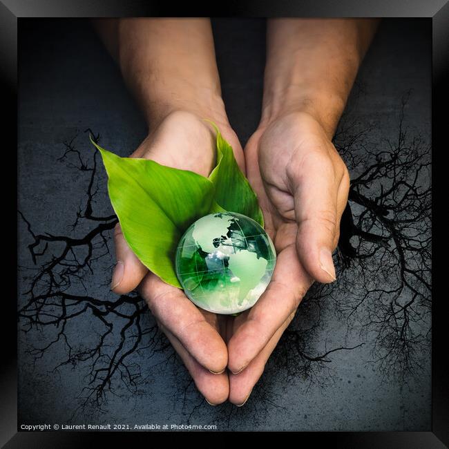 Human hands holding a green globe of planet Earth on green leave Framed Print by Laurent Renault