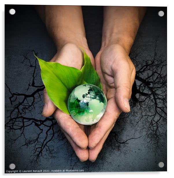 Human hands holding a green globe of planet Earth on green leave Acrylic by Laurent Renault