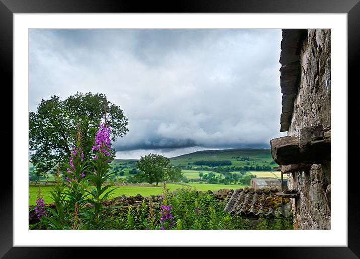 Barn with a view Framed Mounted Print by Stephen Mole