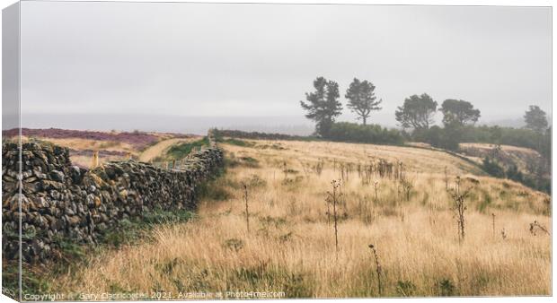 Mist on the Cleveland Way Canvas Print by Gary Clarricoates