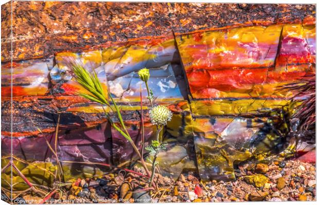 White Flower Colorful Petrified Wood Rock Log National Park Ariz Canvas Print by William Perry