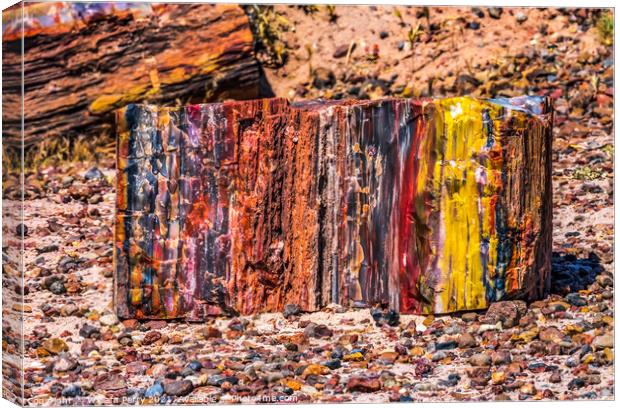 Petrified Wood Rock Abstract National Park Arizona Canvas Print by William Perry